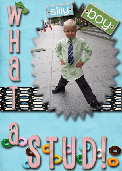 landen copy