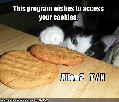 funny pictures cat wishes to access your cookies