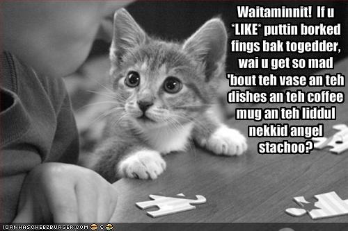 funny pictures kitten does not understand why you like puzzles