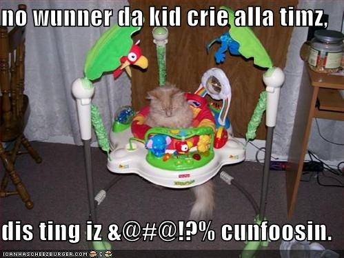 funny pictures cat confusing baby toy