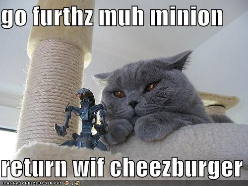 funny pictures cat sends minion for cheeseburger