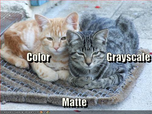 funny pictures color grayscale matte