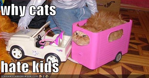 funny pictures why cats hate kids
