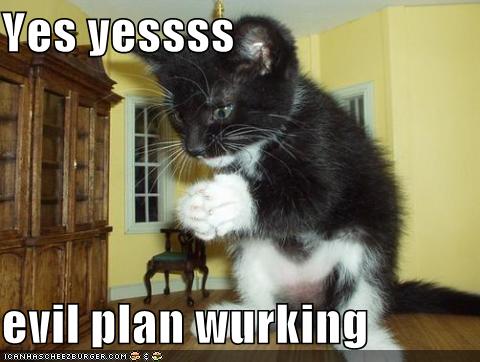 funny pictures your cats evil plan is working