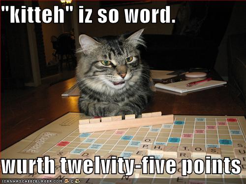 funny pictures cat argues about scrabble