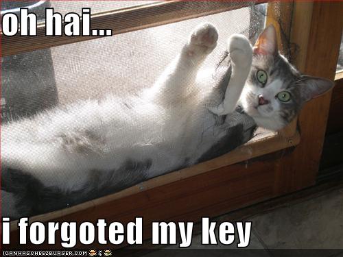 funny pictures cat forgot the key to his house