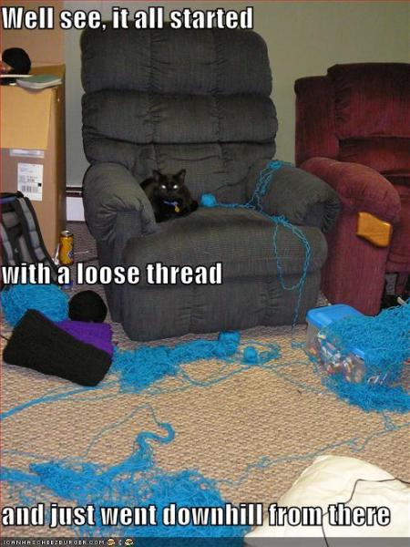 funny pictures cat has unraveled all your thread