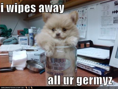 cute puppy pictures wipes away all ur germyz2