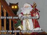funny pictures laser cat christmas