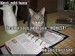 funny pictures just add tuna