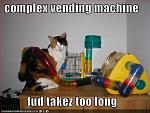 funny pictures cat hates complex vending machines