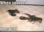 funny pictures dueling lobsters