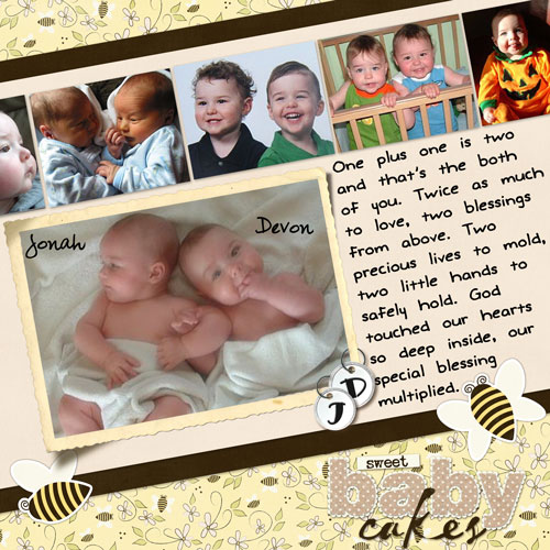 01-11-08_Twin-Bees