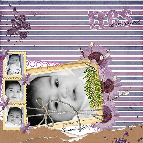 01-27-08-mason-mmartin-purplepe