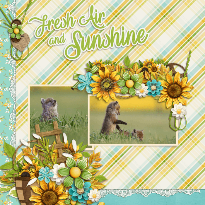 0119Fresh700x700