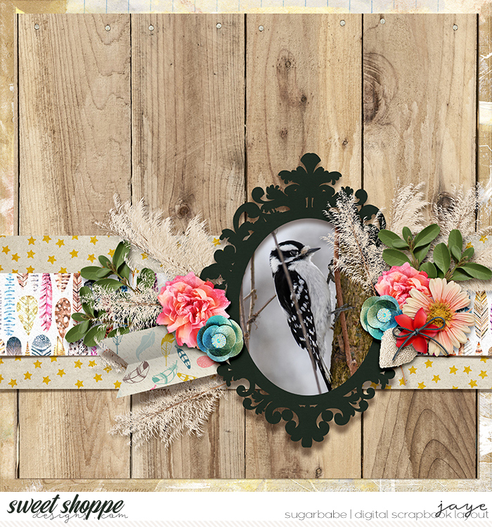 0217-TheBirds-SSD