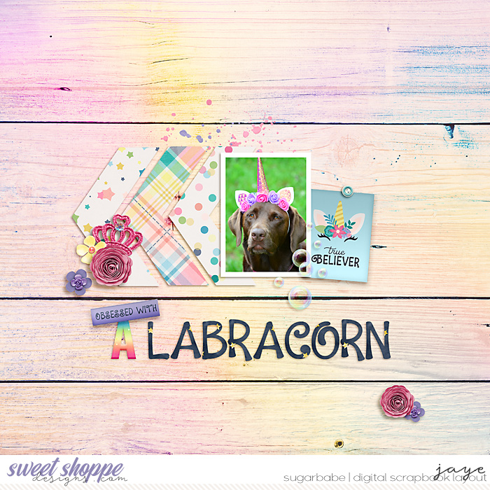 0219-CMG_BG-copy