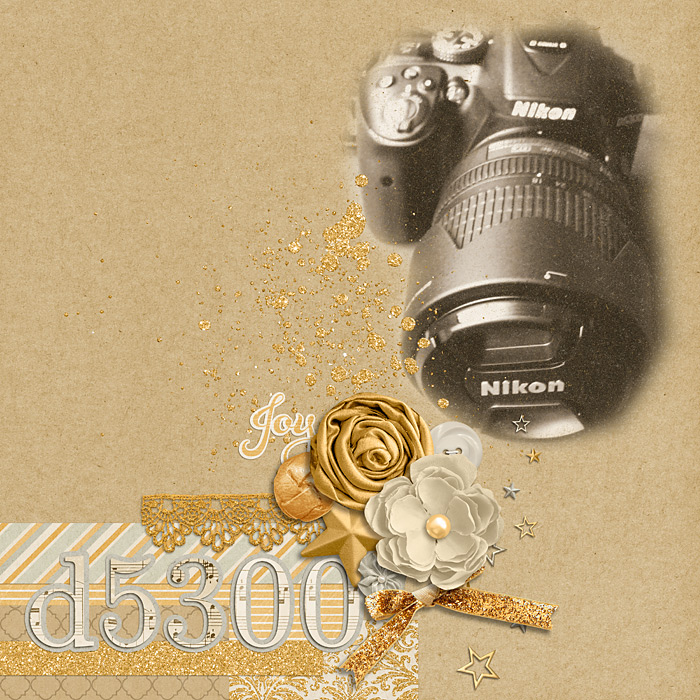 029-D5300