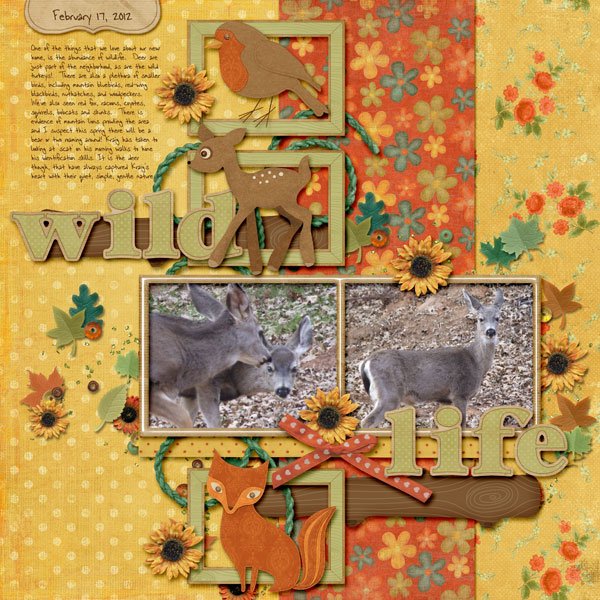 02S-Deer-Web