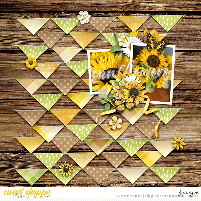 0418-FollowSun_KCB-4Triangles_LJS-copy