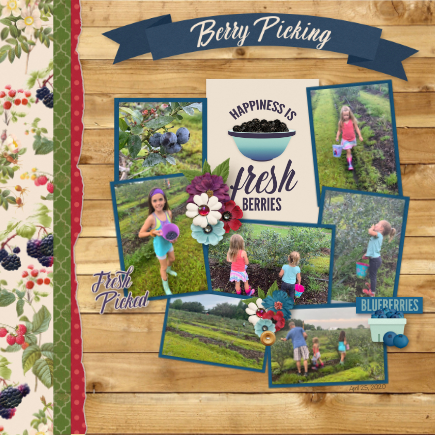 04_25_20_Berry_Picking