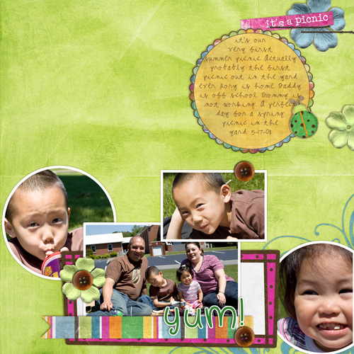 051708_picnic-web