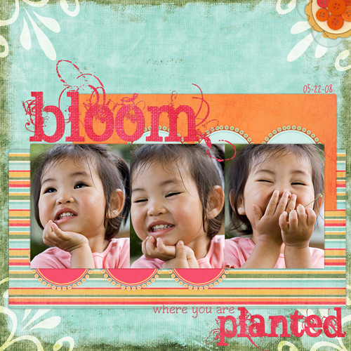 052208_bloom-web