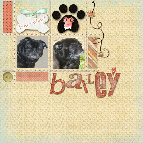 06-07-08_Bow-Wow-Bailey