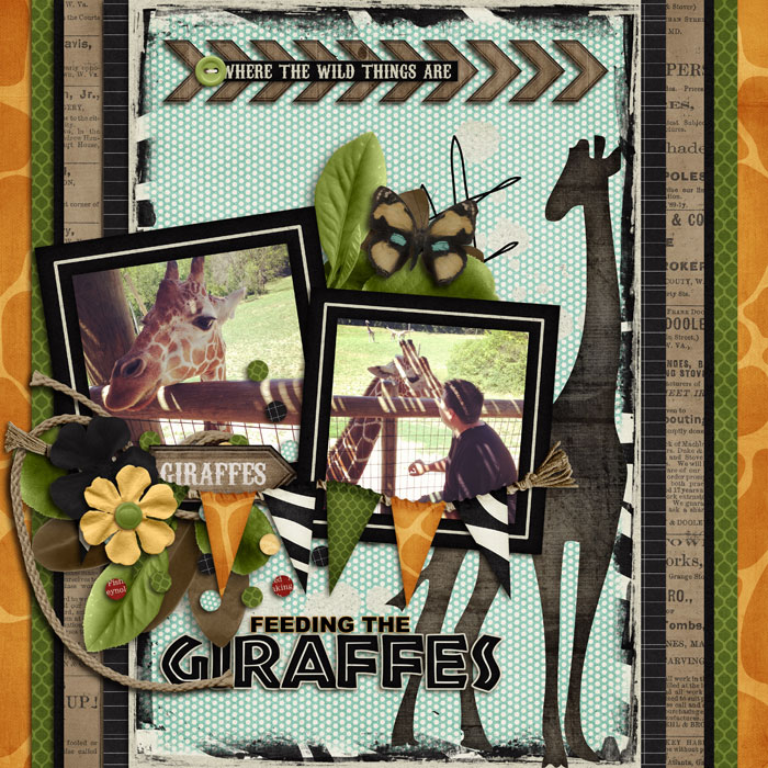 06-feeding-the-giraffes-700