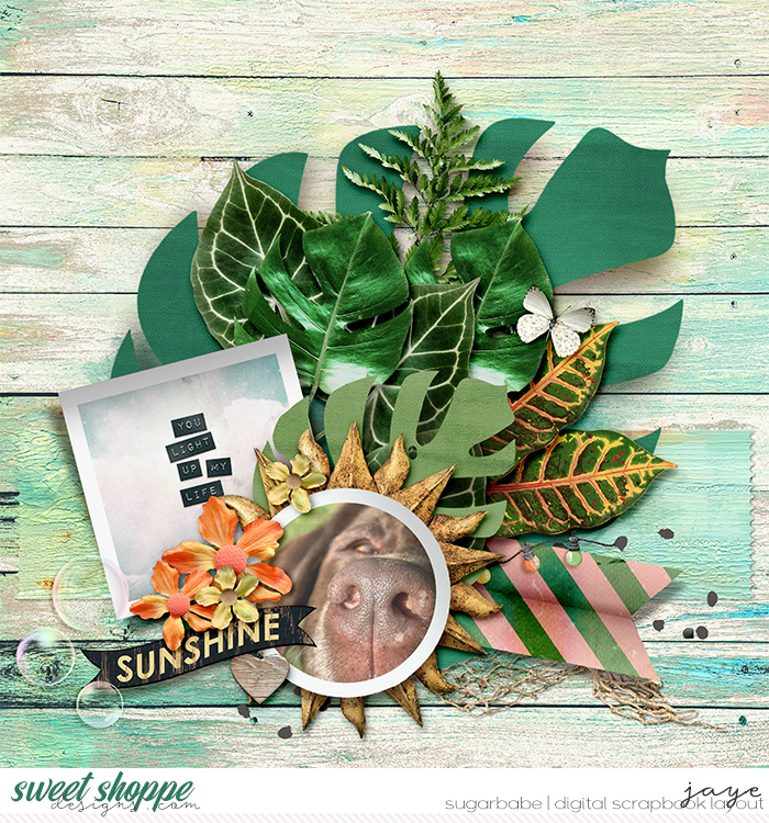 0606-HereComestheSun-PD_TNP