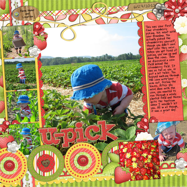 06_27_strawberry_picking