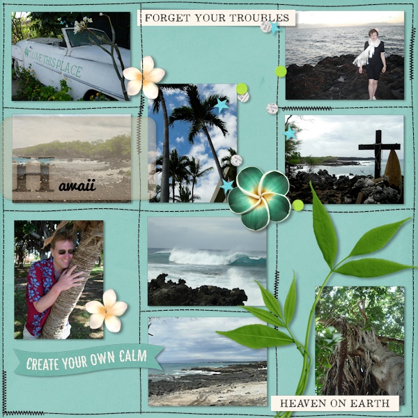 06mar08_Hawaii02