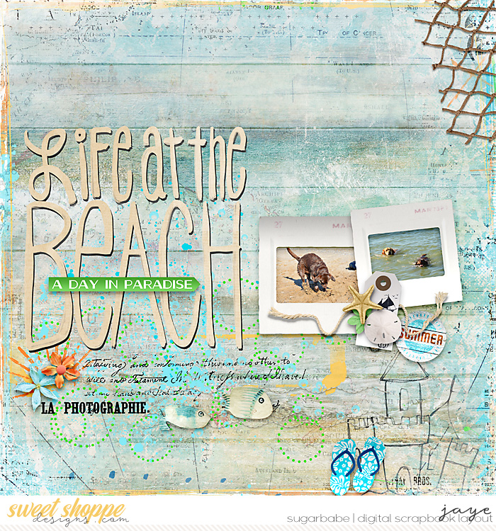 0715-Words2_CMG-BeachScape_SB_LBW