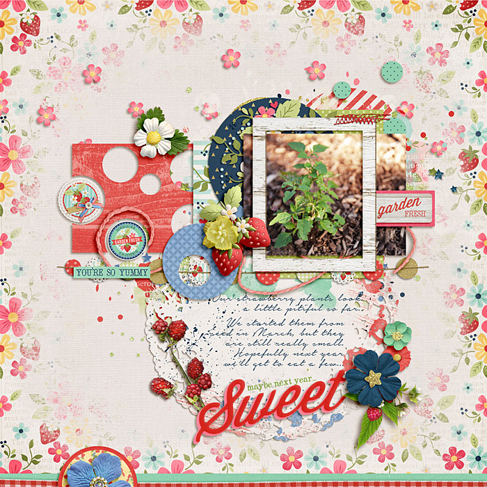 07_15_14-Strawberries-web
