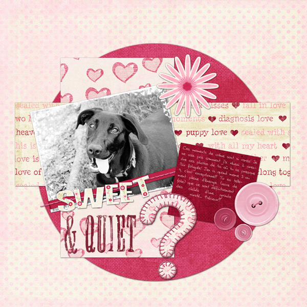 08-01-09-Sweet-and-Quiet
