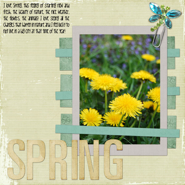 08-03-25-spring-SWTSB29