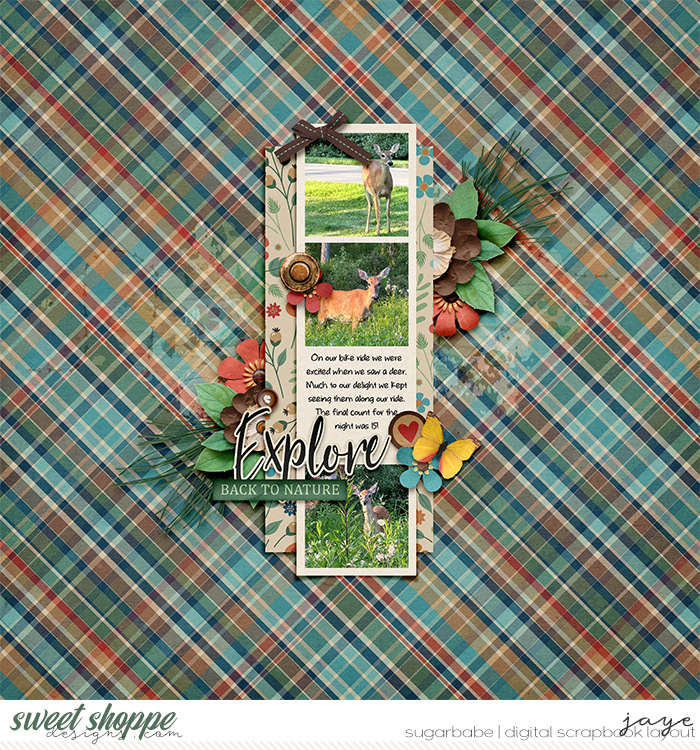0826-HHCamping_Blago