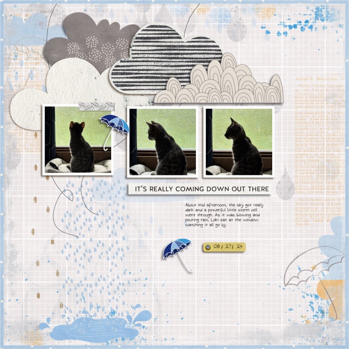 082724_Rainy_Day_700