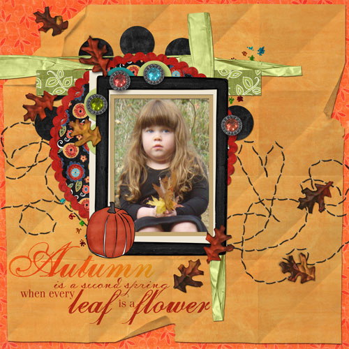 09-25-08_Autumn-Flower