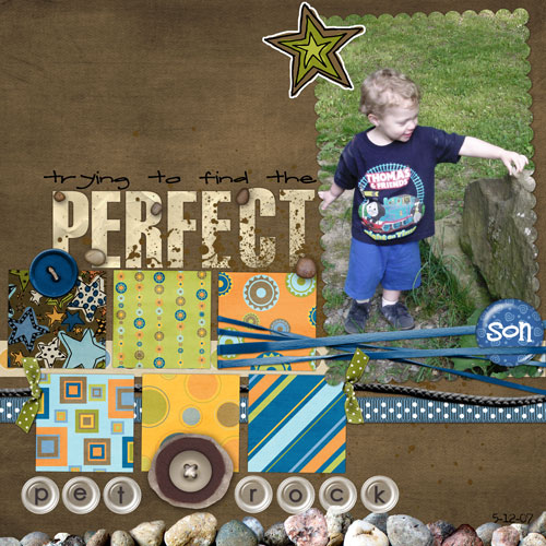 09-28-08_Perfect-Pet-Rock
