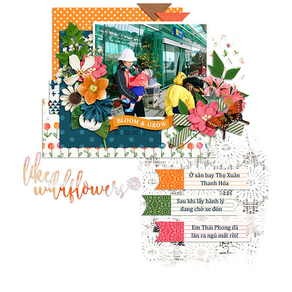 0_NTTD_Long_417_KCB_Life-wild-flowers_SBasic