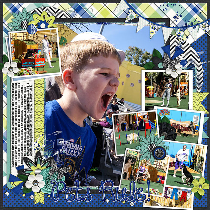 1-19-15_PetsRule-HP121-31-web