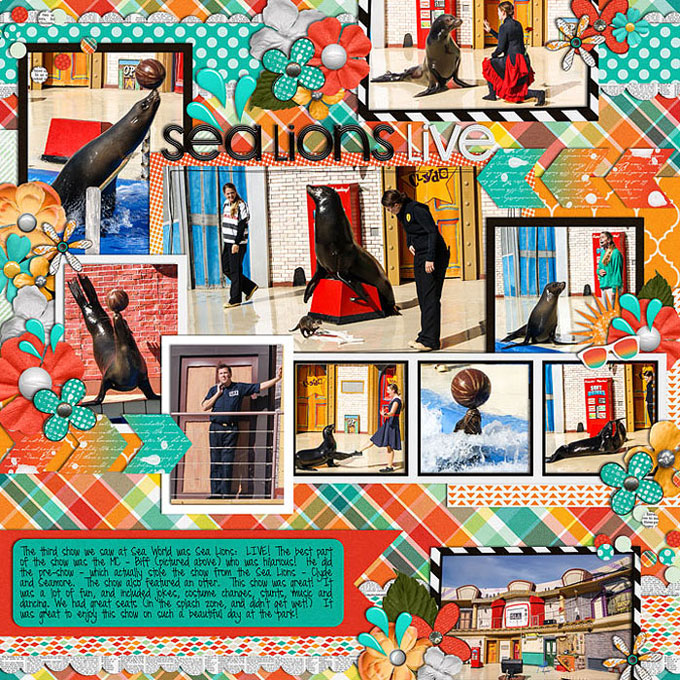 1-19-15_SeaLionShow_cs-single84_lp-99-web-680