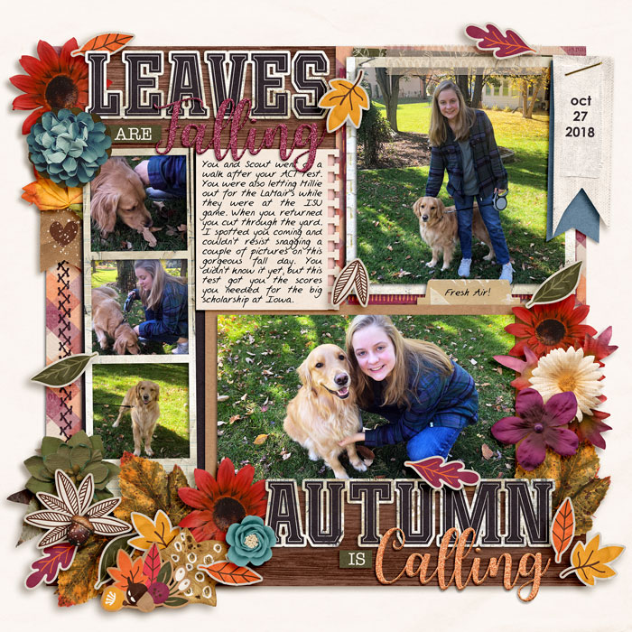 10-18LeavesAreFalling-copy