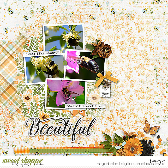 1002-BlendPak6_LJS-copy-copy