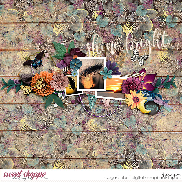 1002-NightGardern_SSDCollab-copy