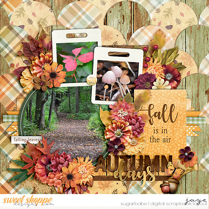 1009-set274_CS-AutumnP_Ponytails-copy