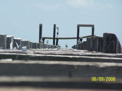 100_4993_400_x_300_
