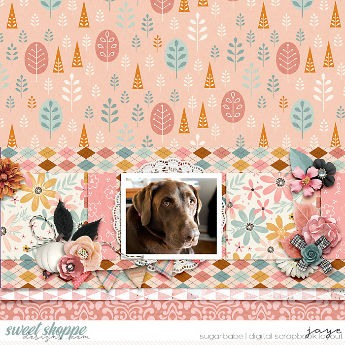 1031-SSD_Collab-copy