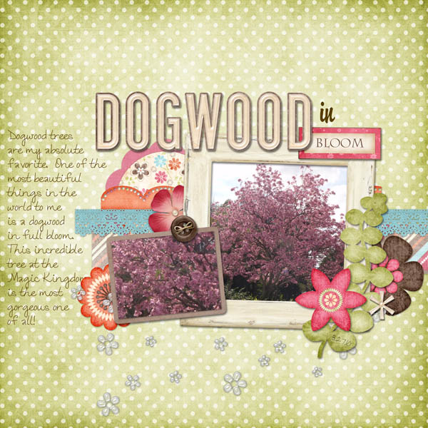 10_03_27Dogwood_Web